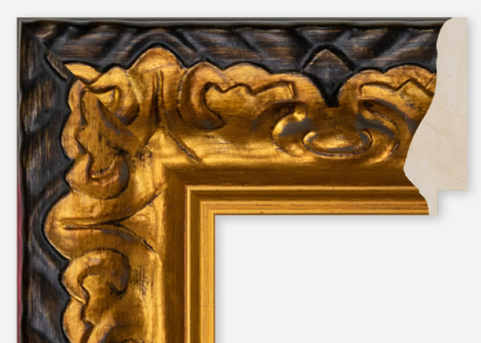 Custom Frame CFCDMS-9951