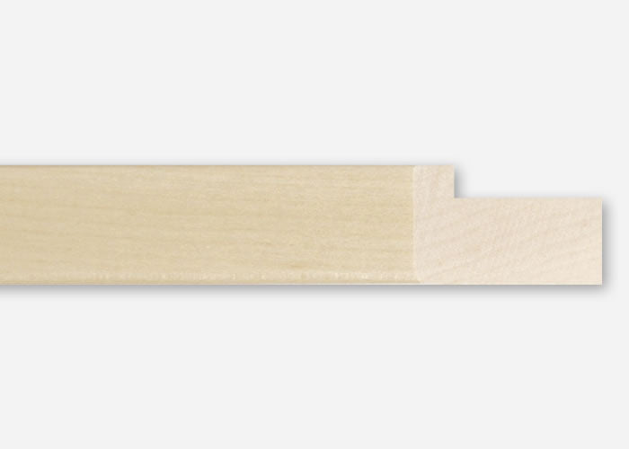 Custom Frame CFCYC200