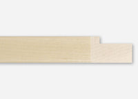 Custom Frame CFCYC200