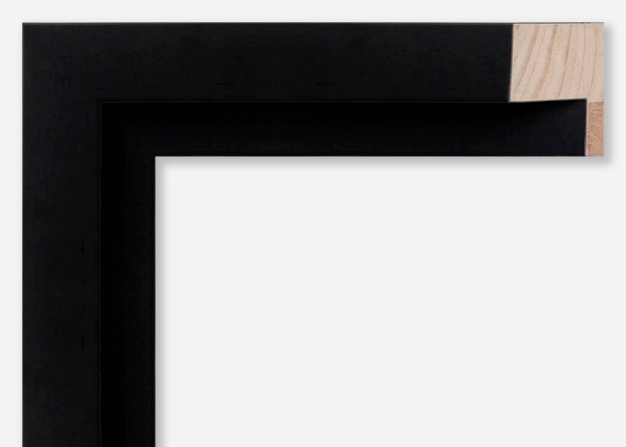 Custom Floater Frame CFCYN7810