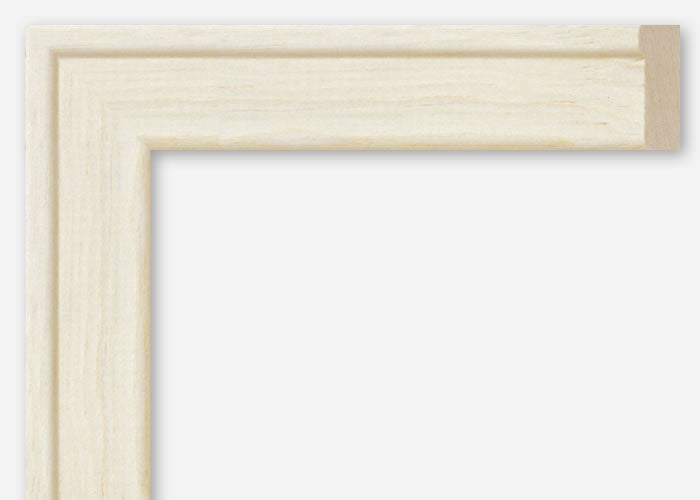 Custom Frame CFCYMSB01