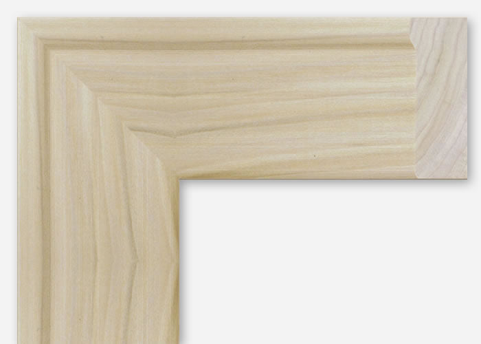 Custom Frame CFCYMSB07