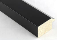 Custom Frame CFCYH3310