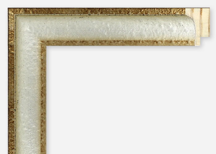 Custom Frame CFCW8793