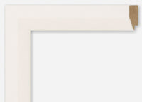 Custom Frame CFCYV100WLL