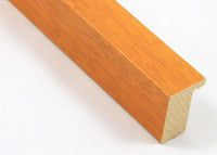 Custom Frame CFCY016-307-479
