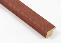 Custom Frame CFCY020-485-001