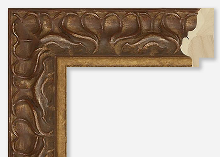 Custom Frame CFCY1041-9169
