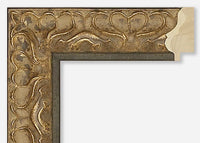 Custom Frame CFCY1041-9172