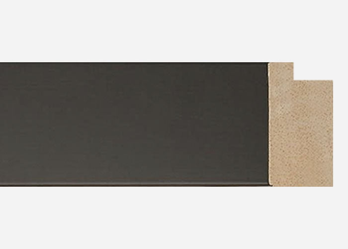Custom Frame CFCY201-003R