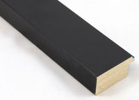 Custom Frame CFCY201-364R