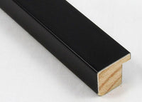 Custom Frame CFCY201-366R