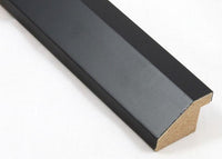 Custom Frame CFCY201-419R