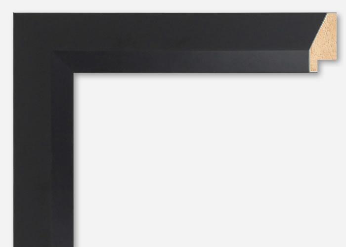 Custom Frame CFCY201-419R