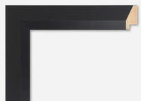 Custom Frame CFCY201-419R