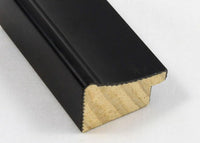 Custom Frame CFCW0411