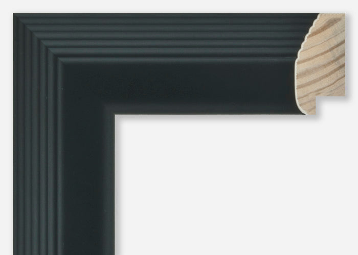 Custom Frame CFCW8631