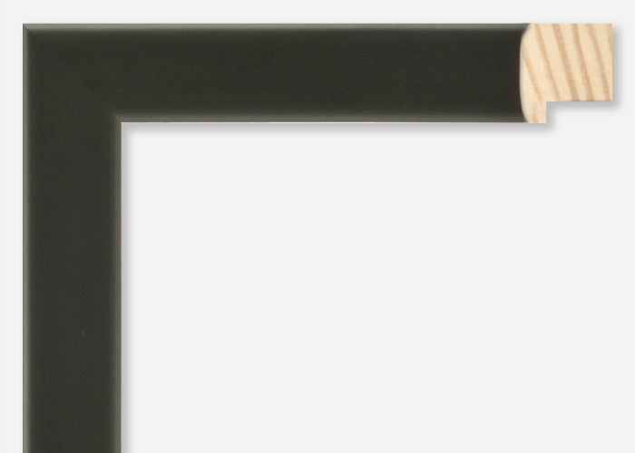 Custom Frame CFCW8667