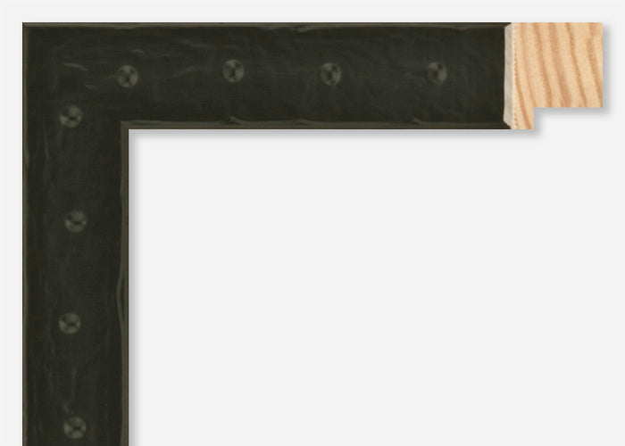 Custom Frame CFCW8729
