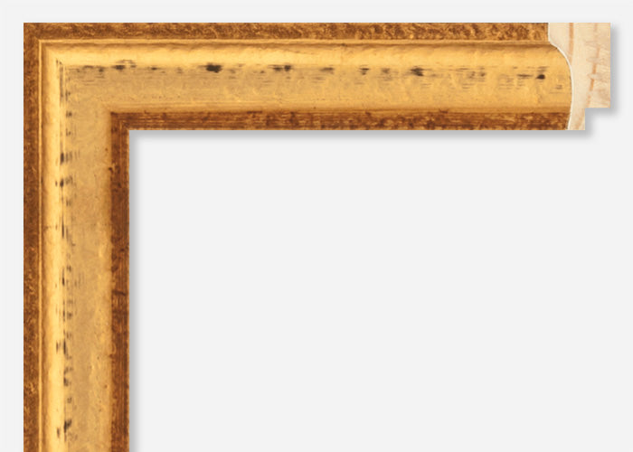 Custom Frame CFCW8795