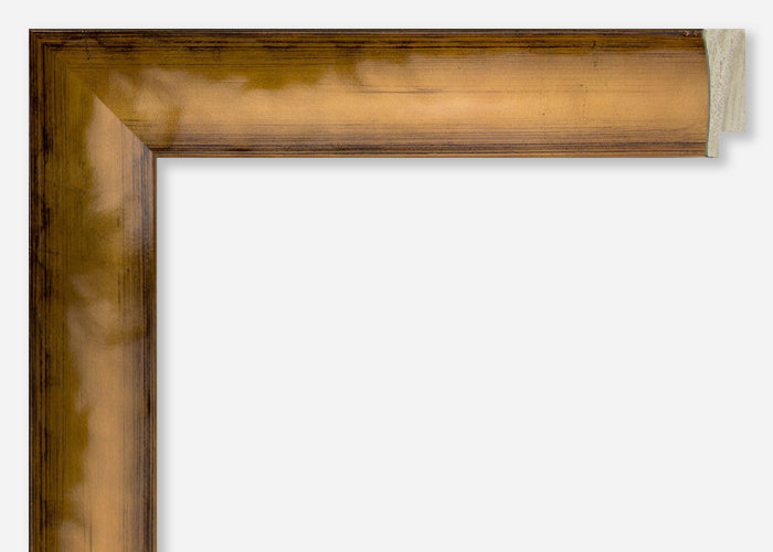 Custom Frame CFCYH5002