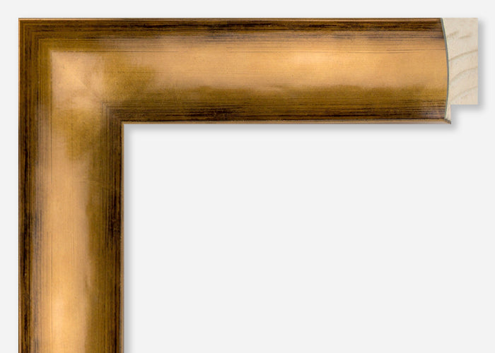Custom Frame CFCYH5102
