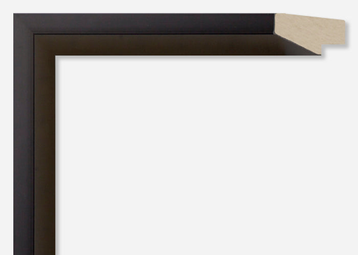 Custom Frame CFCYN2620