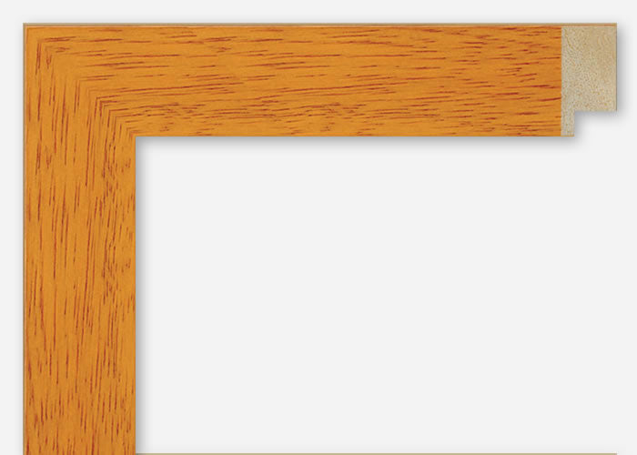 Custom Frame CFCYR2114